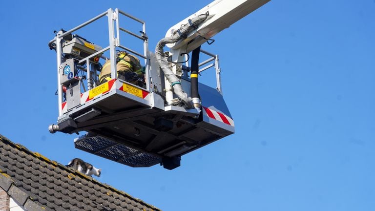 Toen de brandweer een hoogwerker inzetten, ging de kat er snel vandoor (foto: Gabor Heeres/SQ Vision).