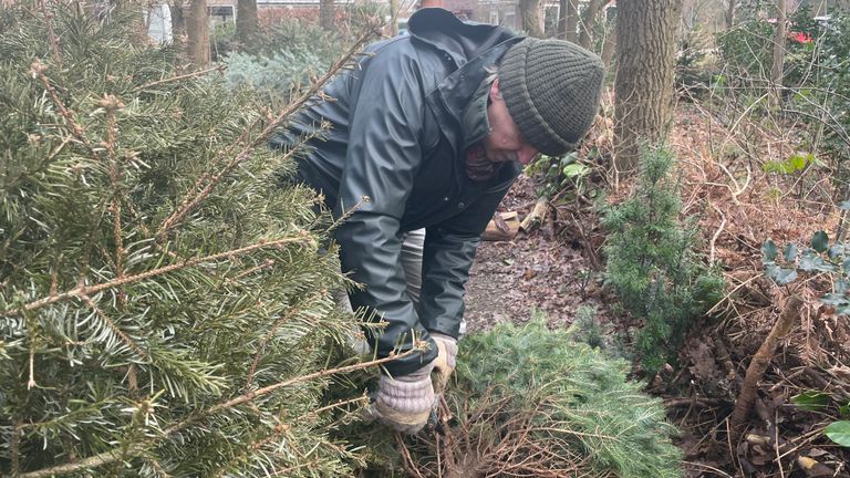 Jaap aan het werk in zijn 'egelbos' (Foto: René van Hoof)