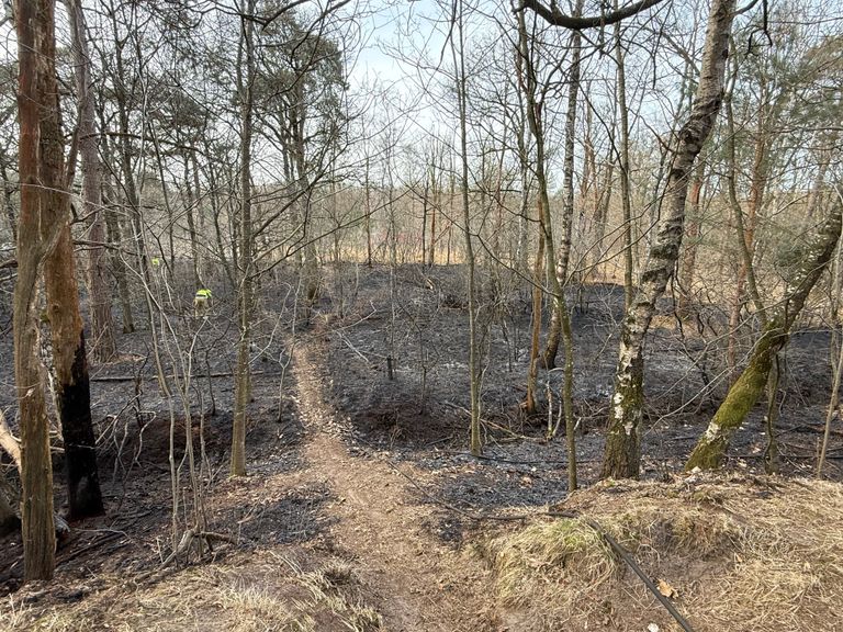 Foto: Bart Meesters. 