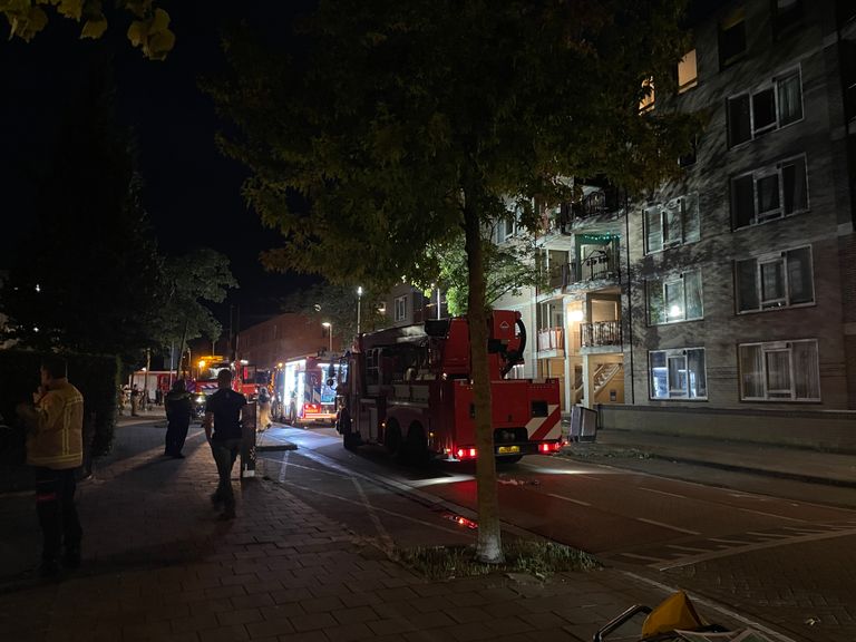 Foto: Rogier van Son.