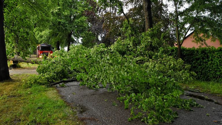 Ook in Oisterwijk waaide een boom om (foto: Toby de Kort/SQ Vision).