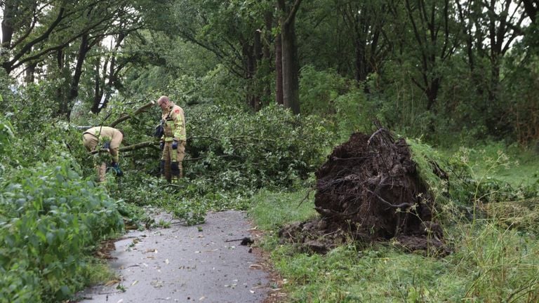 Veel werk aan het groen bij de Haven in Oirschot (foto: Sander van Gils/SQ Vision).