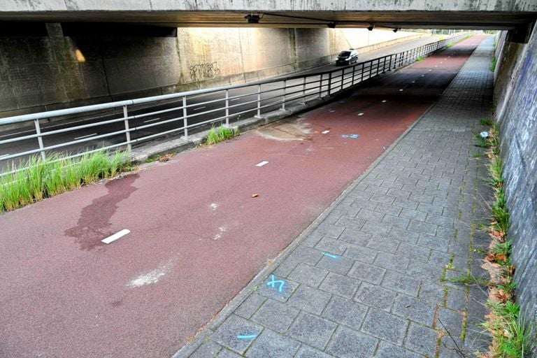 De dode werd aangetroffen op het fietspad in de Westerparklaan in Breda (foto: Tom van der Put/SQ Vision).