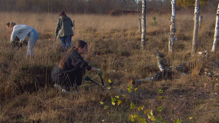 Medewerksters van Dille en Kamille werken zich in het zweet op de Groote Peel (foto: Jan Peels)