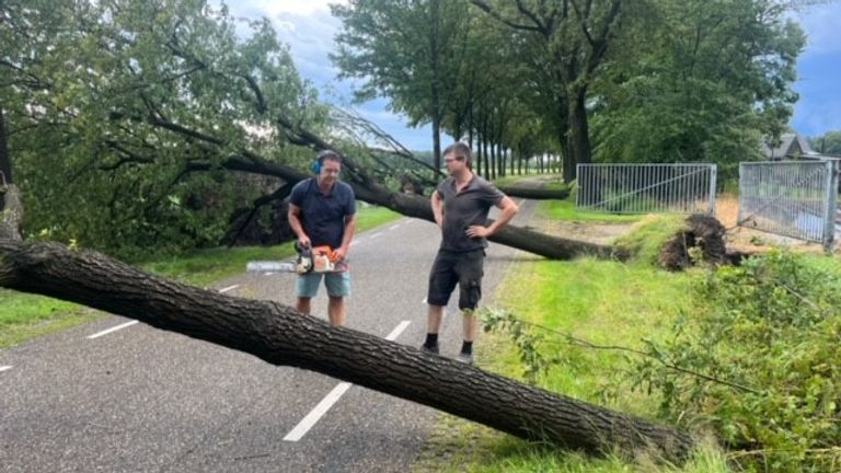 Vrijwilligers ruimen de bomen op in Netersel (foto: Corien Snijder).