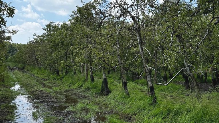 Zo zag de wateroverlast er eerder uit (foto: Carlos Faes).