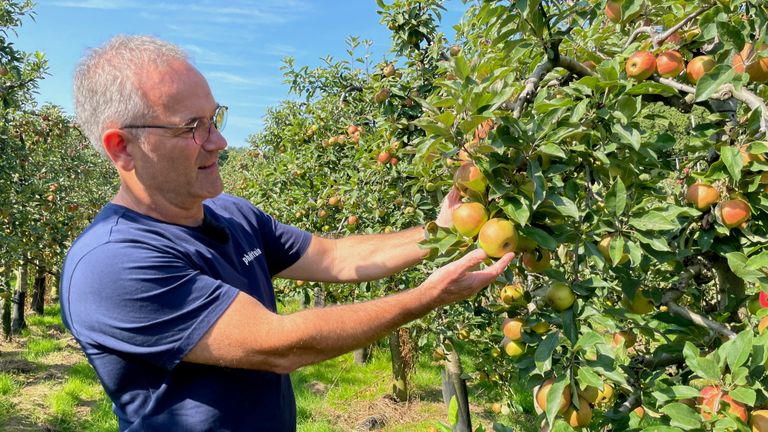 Carlos Faes laat zien hoe de appels er nu uit horen te zien (foto: Rogier van Son).