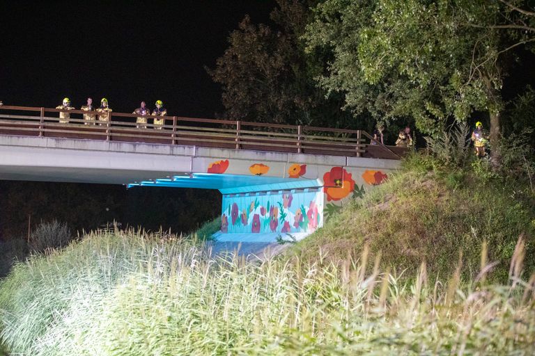 Volgens de politie reed de bestuurder met de auto van een viaduct aan de Rondweg Oost naar beneden (foto: Christian Traets/SQ Vision).