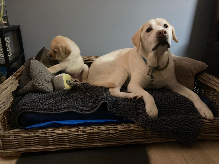 Bram met leermeester Tim (foto: Nicole van der Kooij).