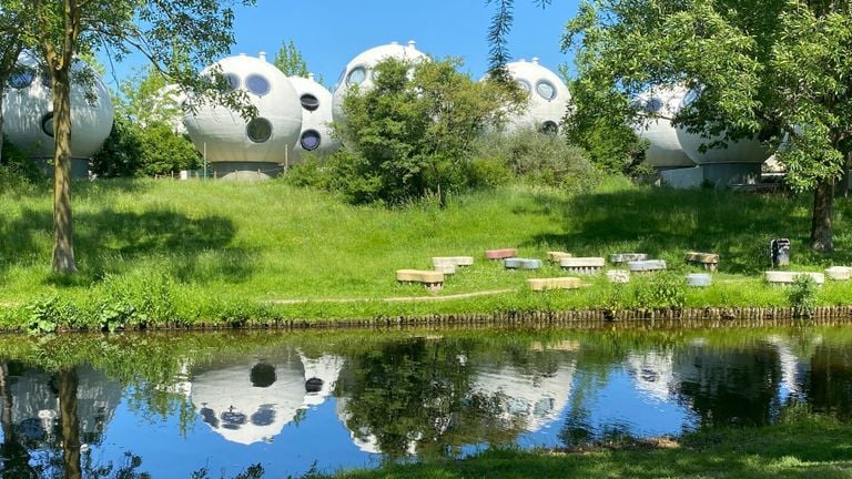 De Bollen in het groen (foto: Jan Peels)