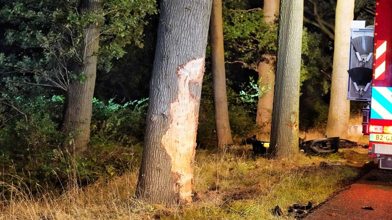 De boom die werd geramd (foto: Jeroen Stuve/SQ Vision Mediaprodukties).