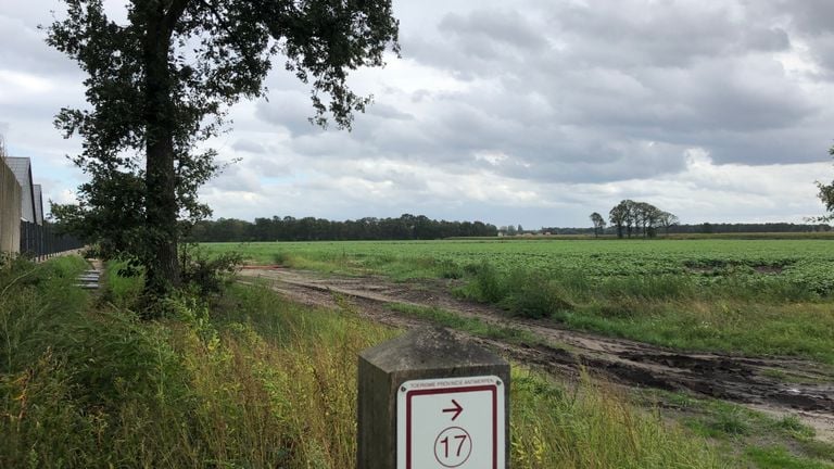 Hier, net over de Belgisch-Nederlandse grens wil Tanja van der Walle haar kalverhouderij beginnen. Links zijn nog net de gebouwen te zien van het door haar ouders opgerichte bedrijf. 