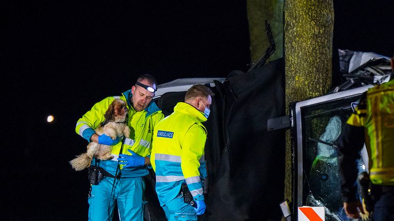 Dit hondje kon levend uit de auto worden gehaald (foto: Sander van Gils/SQ Vision).