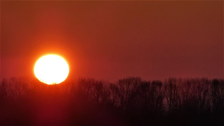 Zonsopkomst in Waalwijk (Foto: Martha Kivits).