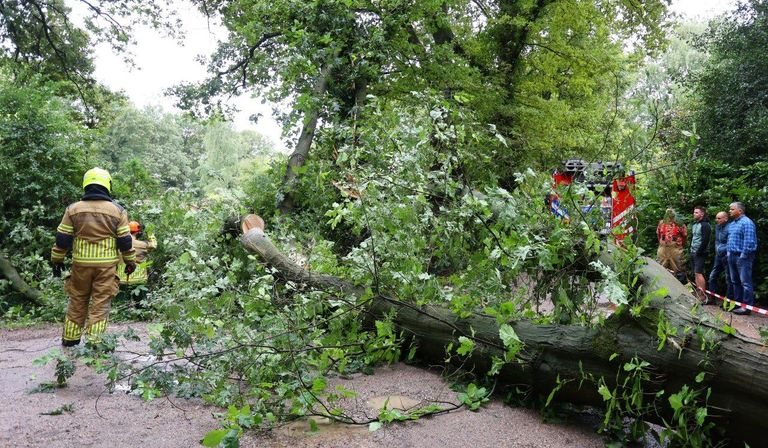 De brandweer zaagde de boom in Haaren in stukken (foto: Bart Meesters)