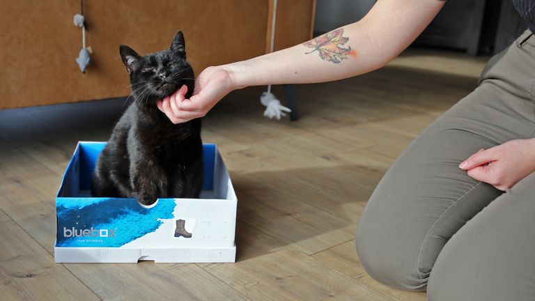 Knuffelen met poes. (Foto: Karin Kamp)