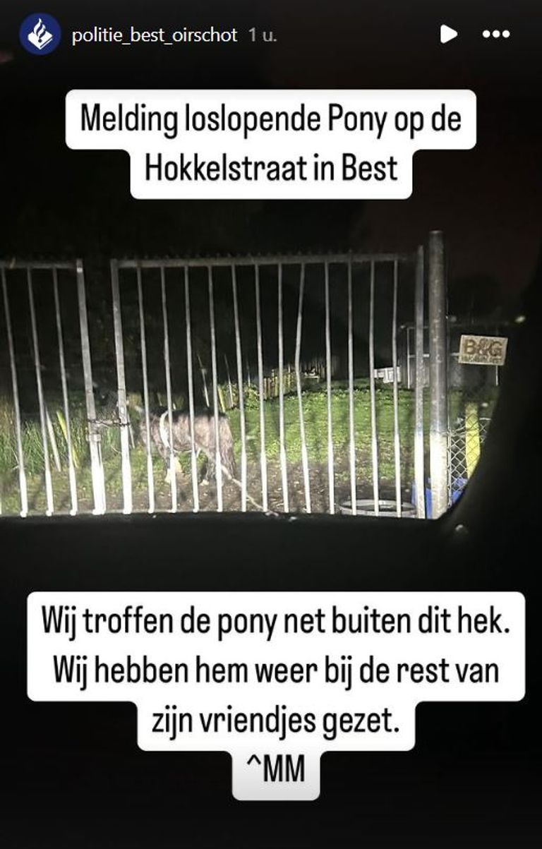 Foto: Instagram politie Best-Oirschot