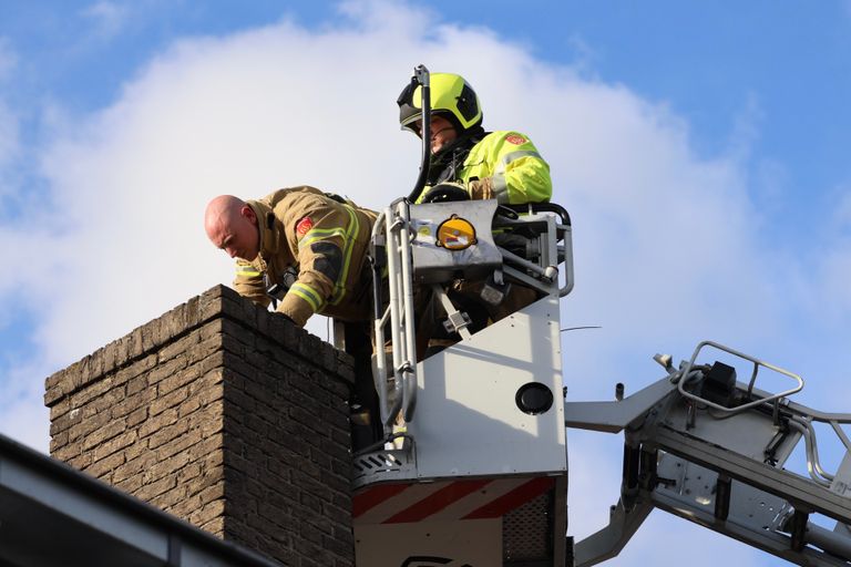 Foto: Sander van Gils/SQ Vision