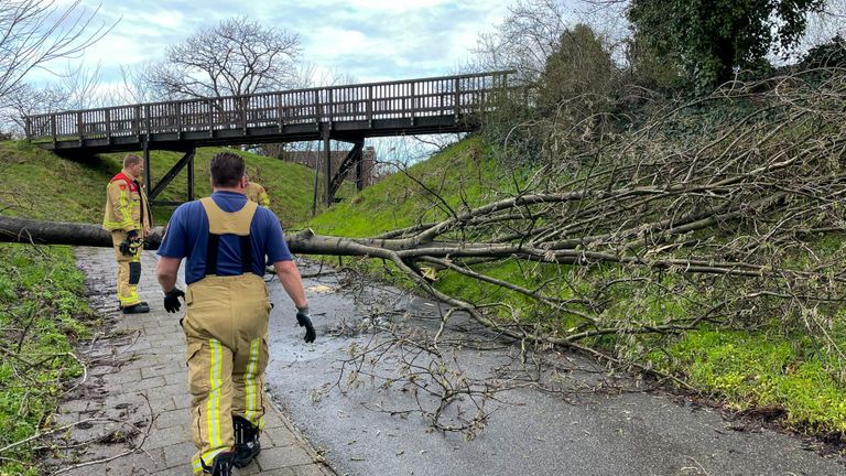 De brandweer moest uitrukken om de omgevallen boom weg te halen.