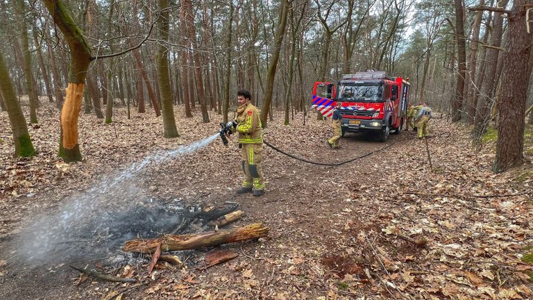 De brandweer bluste het vuur in het Riethovense bos (foto: Rico Vogels/SQ Vision).