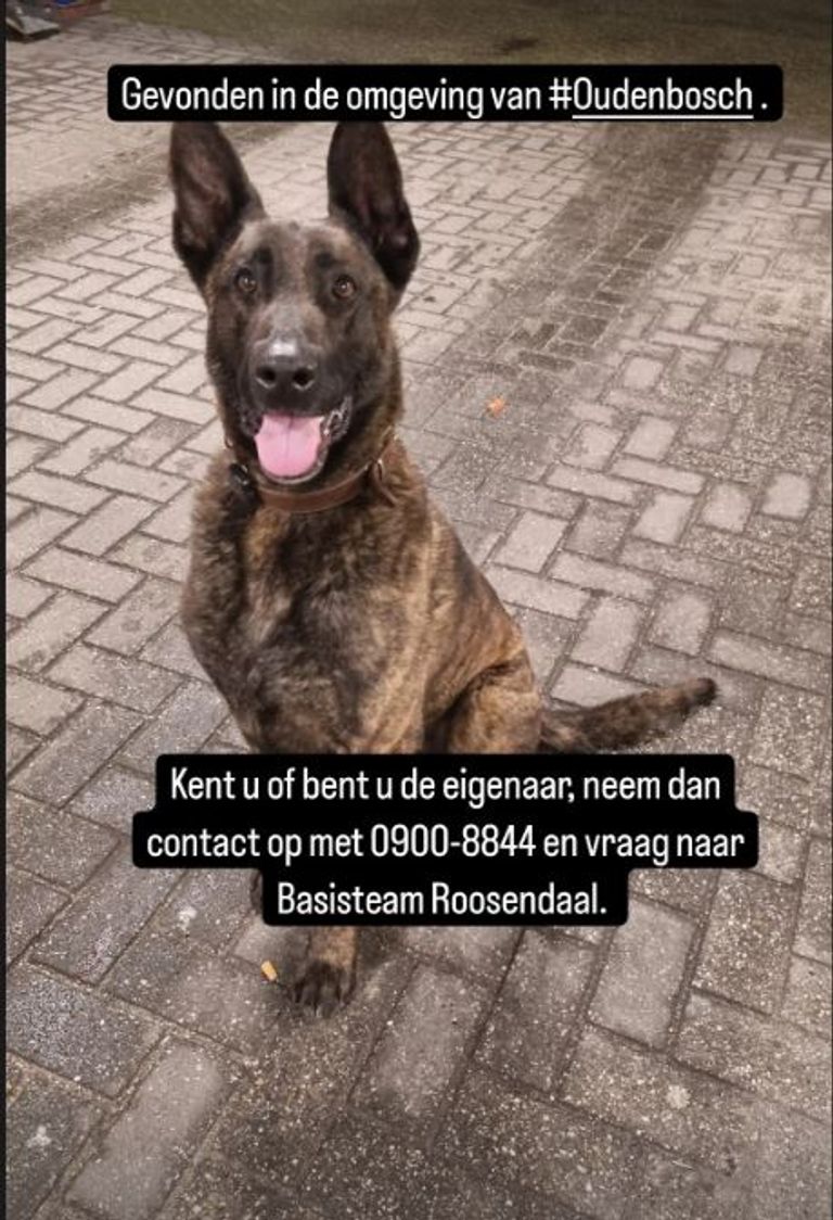 Foto: Instagram politie Roosendaal