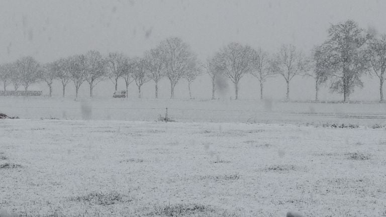 Het werd wit in Molenschot (foto: An Roelen).