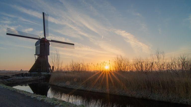 Uppel in de ochtend (foto: Alex van den Akker).