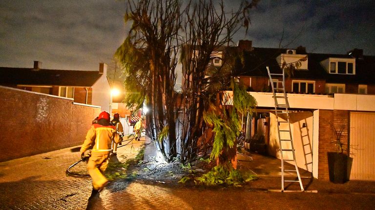 Van de conifeer in Valkenswaard bleef weinig over (foto: Rico van Vogels/SQ Vision).