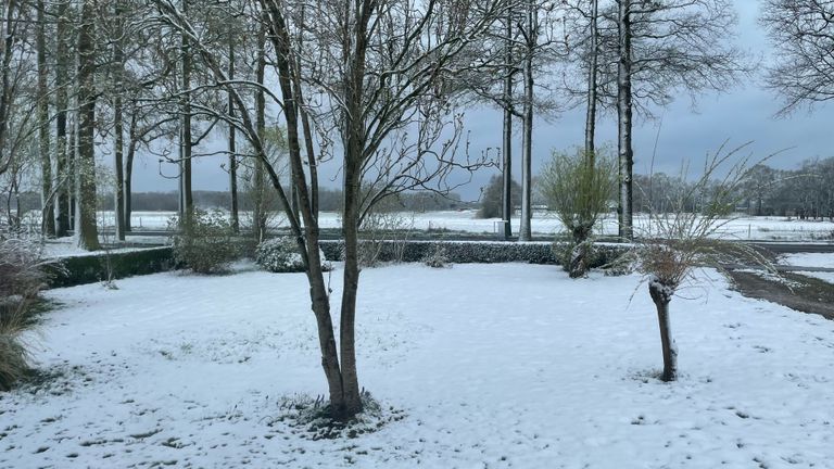 Een beetje winter wonderland in Heeswijk-Dinther (foto: Jos Verkuijlen).