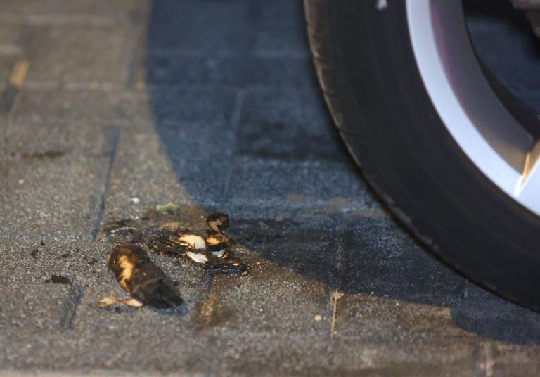 De poging de auto's in vlammen te laten opgaan mislukte maandagnacht (foto: Bart Meesters).