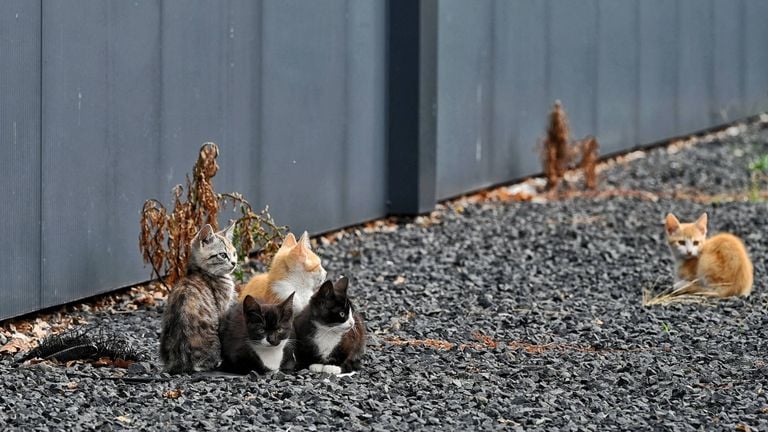 Foto: Toby de Kort / Persbureau Heitink