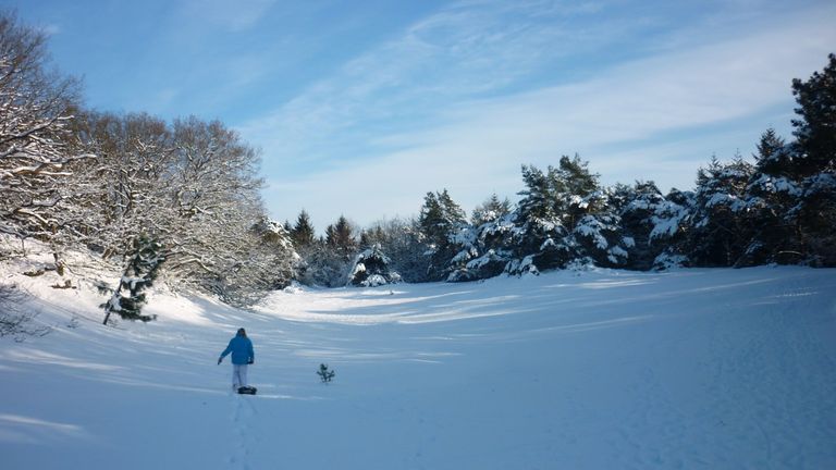 Wat in winterland in de Loonse en Drunense duinen.