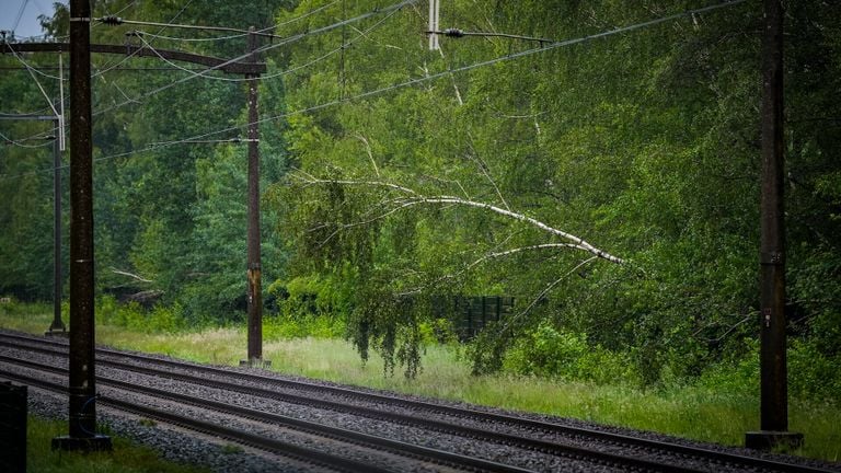 Deze (witte) boom moest eerst worden verwijderd om het treinverkeer weer volgens het spoorboekje te laten verlopen (foto: Sem van Rijssel/SQ Vision).