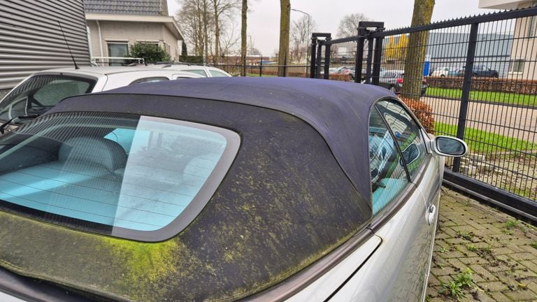 Veel van Kuylaars zijn auto's zitten volgens hem door de bomen onder de aanslag (foto: Collin Beijk).