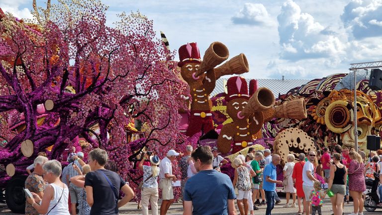 Kijkdag Bloemencorso Zundert, links de paarse bomen (foto: Noël van Hooft)