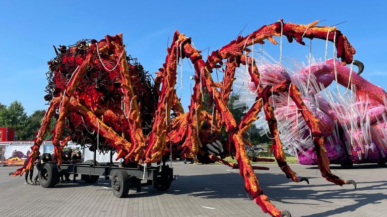 Buurtschap Stuivezand - Arachnophobia (Foto: Omroep Brabant).