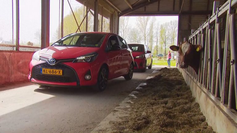 Met de auto door de stal bij Paaspop. 