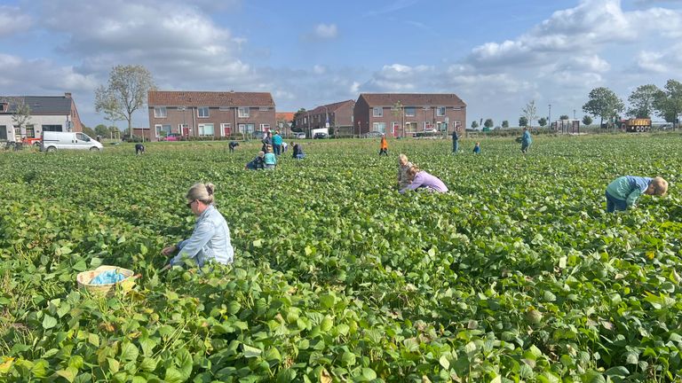 De hele buurt is langsgekomen om Joop een hart onder de riem te steken (foto: Megan Hanegraaf).