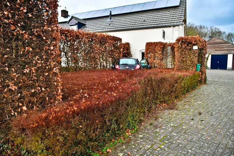 De auto reed door de tuin en ramde toen het huis (foto: SQ Vision Mediaprodukties).