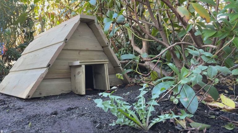 Het egelhuisje heeft een plekje tussen de struiken gekregen (foto: Wilco Zonneveld).