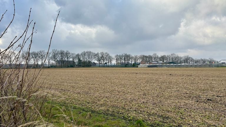 Het terrein aan de Rucphensebaan in Roosendaal (foto: Erik Peeters)