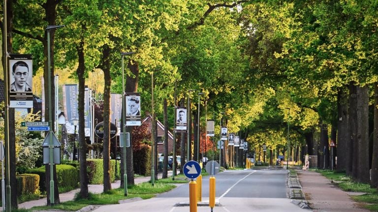 Portretten van 34 oorlogshelden, hangen in de langste straat van Sleeuwijk (foto: Marco de Paauw).