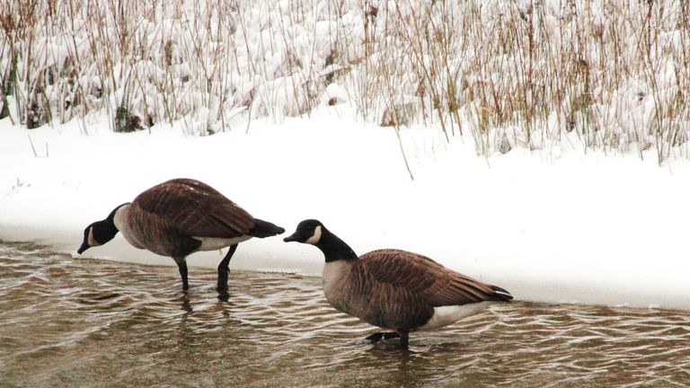 Foto: Jolanda Pelkmans