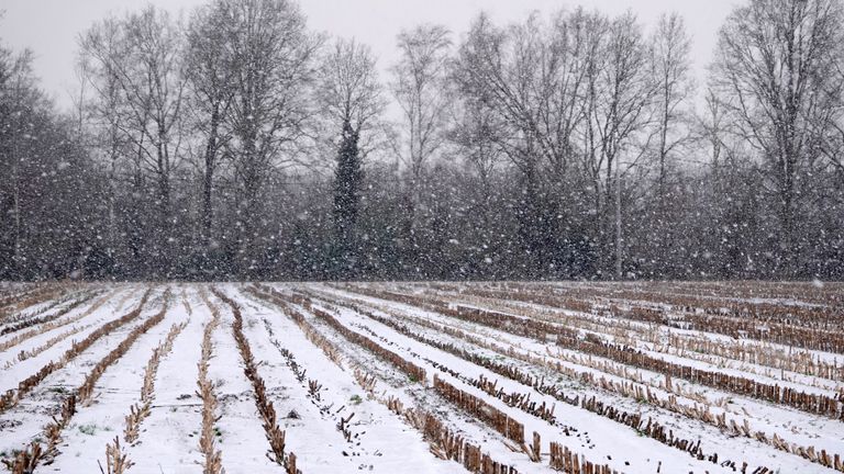 Een winters landschap maandagochtend in Budel (foto: Ben Saanen)