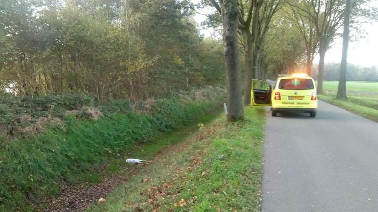 Foto: Dierenambulance Brabant Noord-Oost.