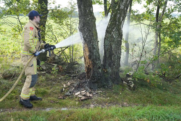 De brandweer bluste de boom naast de Sint-Barbaraweg in Budel-Dorplein (foto: WdG/SQ Vision).