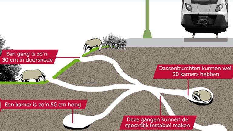 Zo ziet een dassenburcht onder het spoor eruit (afbeelding: ProRail).