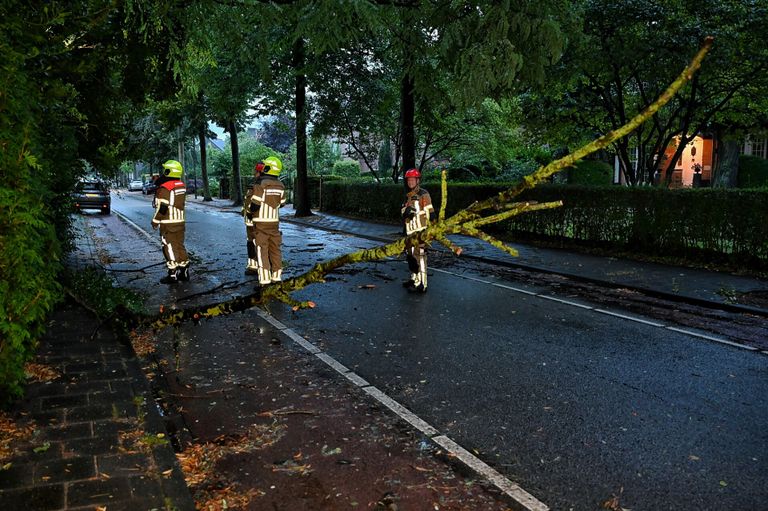 Afgebroken takken versperden de weg in Oisterwijk (foto: Toby de Kort/SQ Vision).