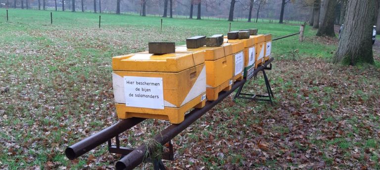 Waarschuwingsborden en bijenkasten moeten bezoekers wegjagen.