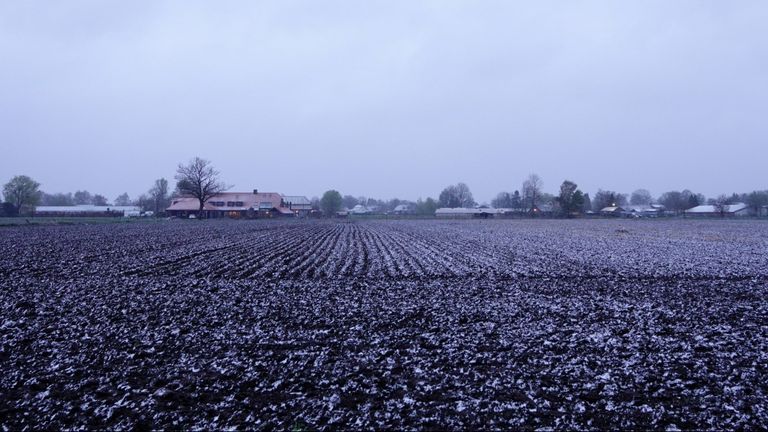 Door een enkele sneeuwbui werd het in Budel en omgeving slechts tijdelijk een beetje wit (foto: Ben Saanen). 